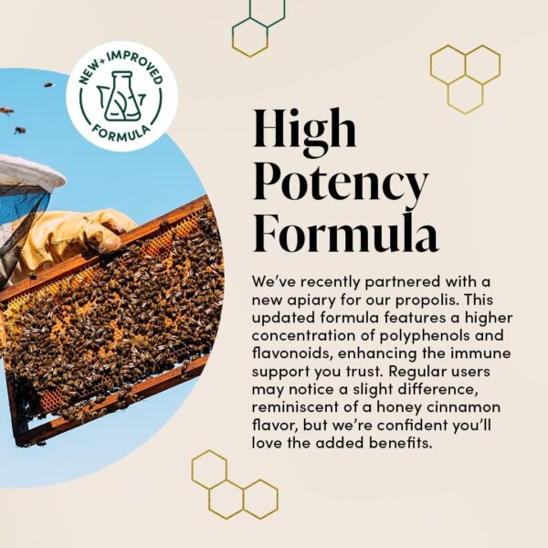 Beekeeper’s Naturals Propolis Throat Spray, Natural Immune Support & Sore Throat Relief – Antioxidants, Keto, Paleo, Gluten-Free, 1.0 oz (Pack of 2)