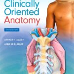 Moore’s Clinically Oriented Anatomy (Dalley) 9 ed (2023)