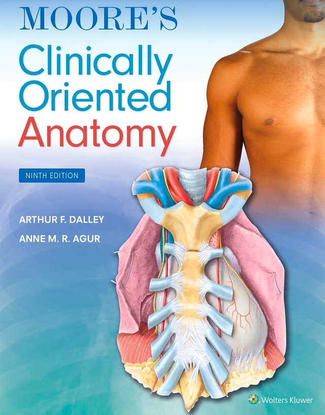 Moore’s Clinically Oriented Anatomy (Dalley) 9 ed (2023)