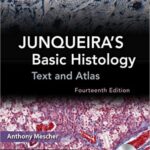 Jinqueira’s Basic Histology. Text and atlas. 14 ed. 2016. 572 p.