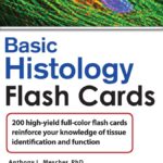 Lange Basic Histology Flash Cards (Mescher) 1 ed (2011)