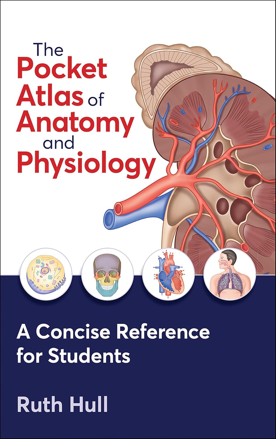 The Pocket Atlas of Anatomy and Physiology. A Concise Reference for Students (Hull) 1 ed (2024)