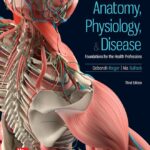 ISE EBook Online Access for Anatomy, Physiology, and Disease. Foundations for the Health Professions (Roiger) 3 ed (2023)