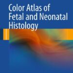 Linda – Color Atlas of Fetal and Neonatal Histology. 1 ed. 2011. 414 p.