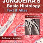 Junqueira’s Basic Histology Text and Atlas (Mescher) 15 ed (2018)