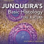 Junqueira’s Basic Histology Text and Atlas (Mescher) 15 ed (2021)