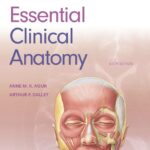 Moore’s Essential Clinical Anatomy (Moore) 6 ed (2019)