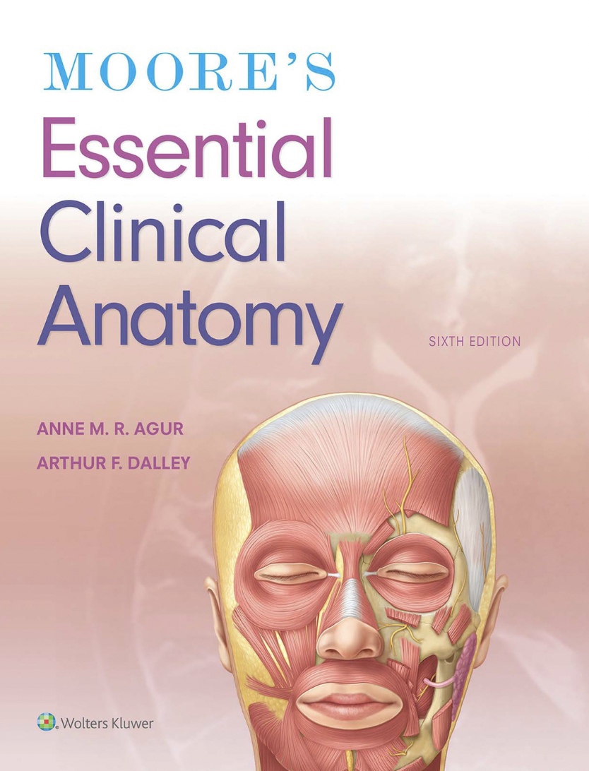 Moore’s Essential Clinical Anatomy (Moore) 6 ed (2019)