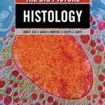 Histology. The Big PicTure (Ash) 1 ed (2013)