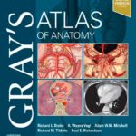 Gray’s Atlas of Anatomy (Drake) 3 ed (2020)