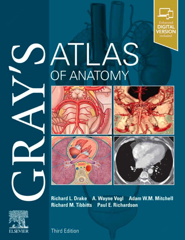 Gray’s Atlas of Anatomy (Drake) 3 ed (2020)