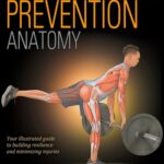 Sport Injury Prevention Anatomy (Potach) 1 ed (2022)