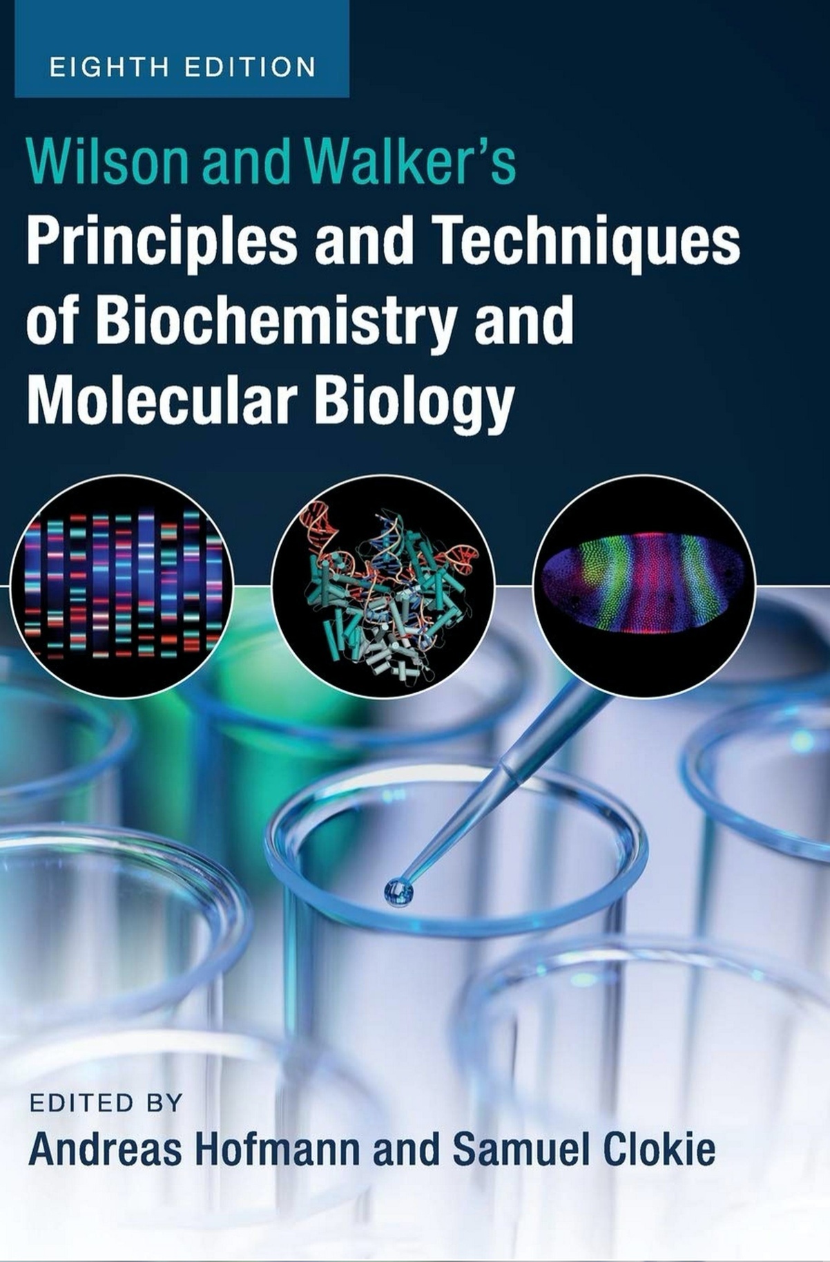 Wilson and Walker’s Principles and Techniques of Biochemistry and Molecular Biology (Hoffman) 8th edition (2018)