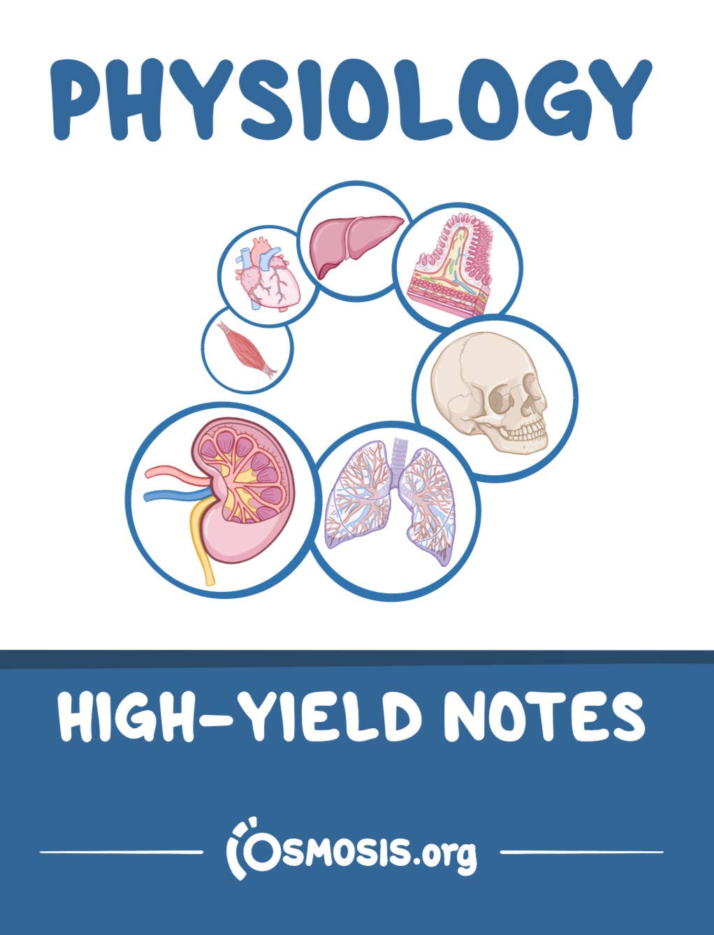 Osmosis High-Yield Physiology