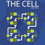 Molecular biology of the cell (Alberts) 6th edition (2016)