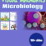 Visual Mnemonics Microbiology (Nazmul) 1 ed (2018)