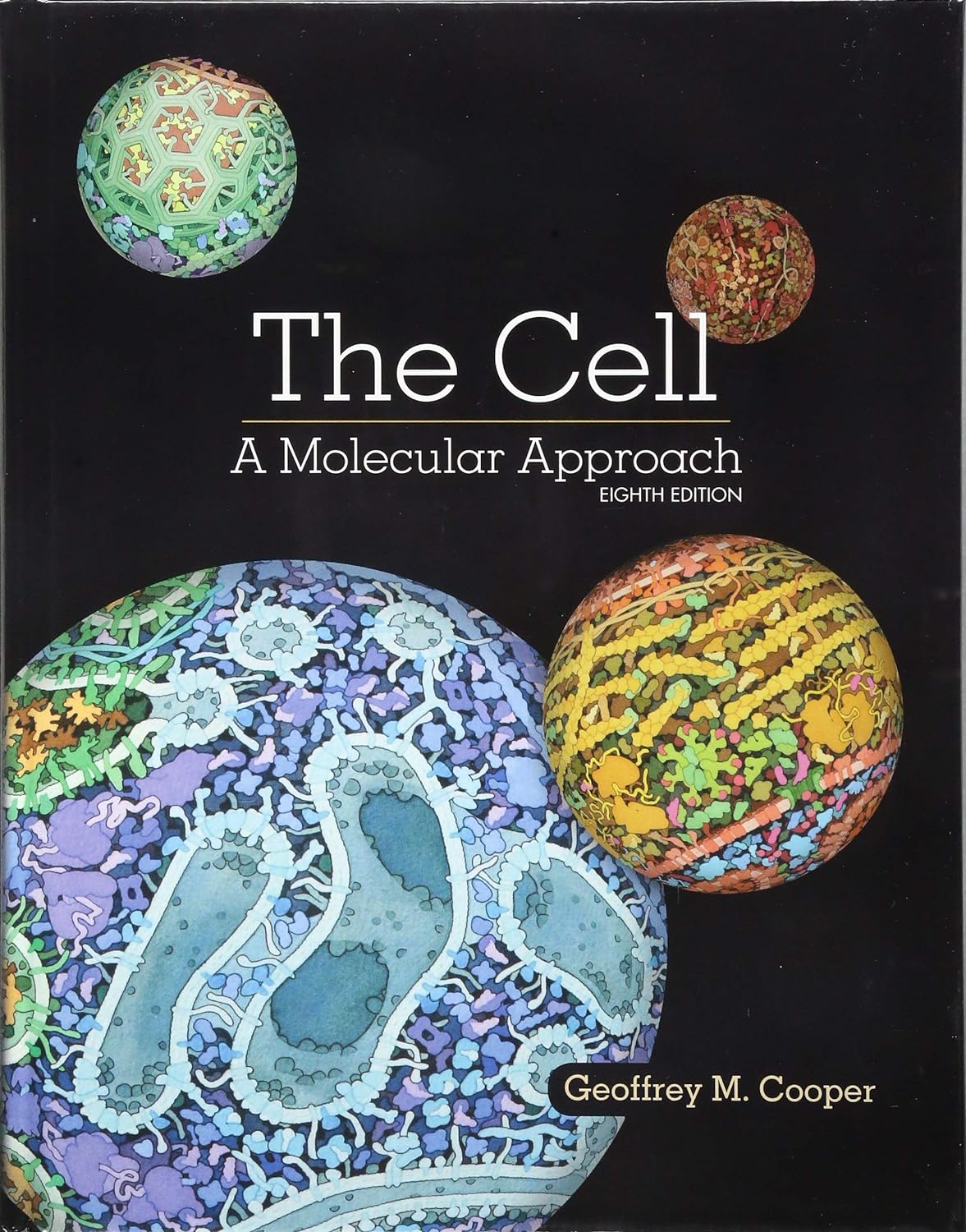 The Cell. A Molecular Approach (Cooper) 8th edition (2019)