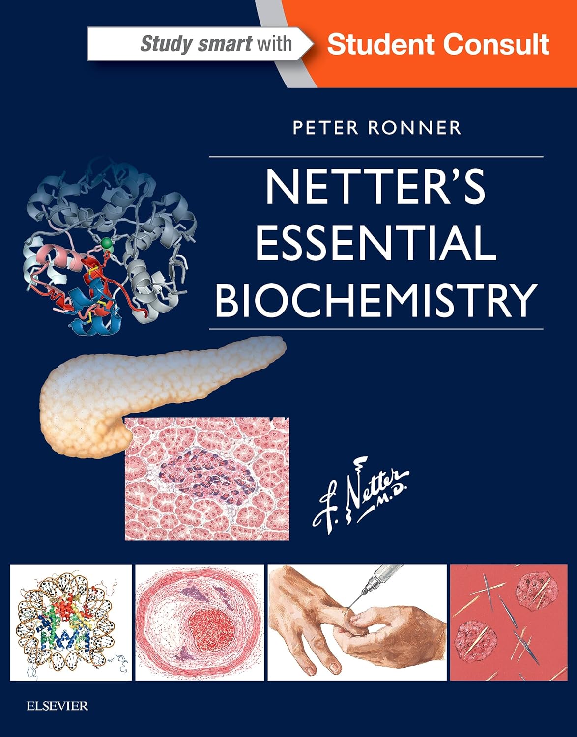 Netter’s Biochemistry (Netter) 1 ed (2018)