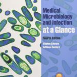 Medical Microbiology and Infection at a Glance (Gillespie) 4 ed (2012)