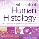 Textbook of Human Histology (Sontakke) 1st edition (2020) With Color Atlas 3D Illustrations and Flowcharts