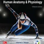 Hole’s Essentials of Human Anatomy & Physiology (Welsh) 15 ed (2024)