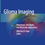 Glioma Imaging. Physiologic, Metabolic, and Molecular Approaches (Pope) 1 ed (2020)