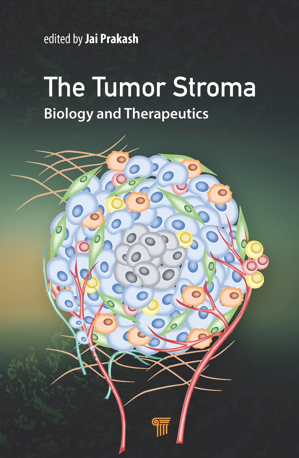 Tumor Stroma. Biology and Therapeutics (Prakash) 1st edition (2022)