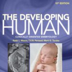 The Developing Human. Clinically Oriented Embryology (Moore) 10th edition (2016)