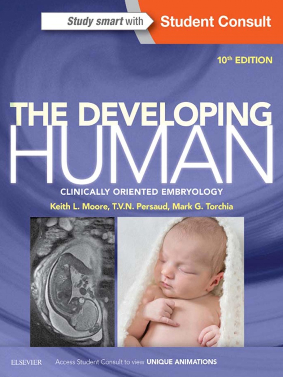 The Developing Human. Clinically Oriented Embryology (Moore) 10th edition (2016)