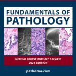 Pathoma Fundamentals of Pathology (Sattar) 1 ed (2021)