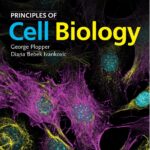 Principles of Cell Biology (Plopper) 3rd edition (2021)