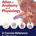 The Pocket Atlas of Anatomy and Physiology. A Concise Reference for Students (Hull) 1 ed (2024)