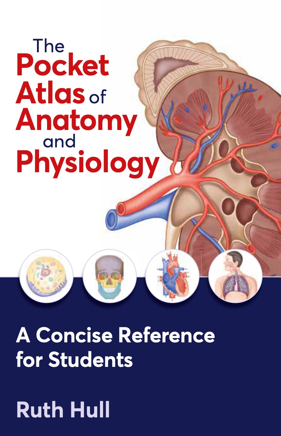 The Pocket Atlas of Anatomy and Physiology. A Concise Reference for Students (Hull) 1 ed (2024)