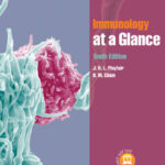 Immunology at a Glance (Chain, B. M., Playfair, J. H. L) (2013)