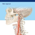 Neurosurgery Fundamentals (Agarval) 1st edition (2019)