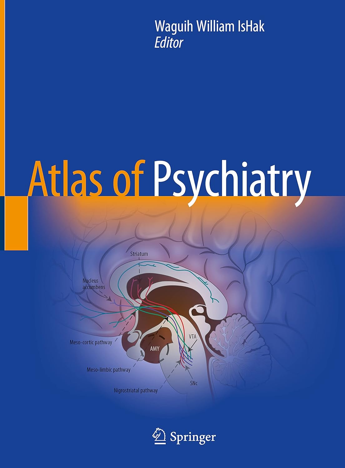 Atlas of Psychiatry (IsHak) 1st edition (2023)