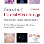 Color Atlas of Clinical Hematology. Molecular and Cellular Basis of Disease (Hoffbrand) 5th edition (2019)