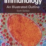 Immunology. An Illustrated Outline (Male) 6 ed (2021)