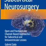 Subcortical Neurosurgery. Open and Parafascicular Channel-Based Approaches for Subcortical and Intraventricular Lesions (Zada) 1st edition (2022)