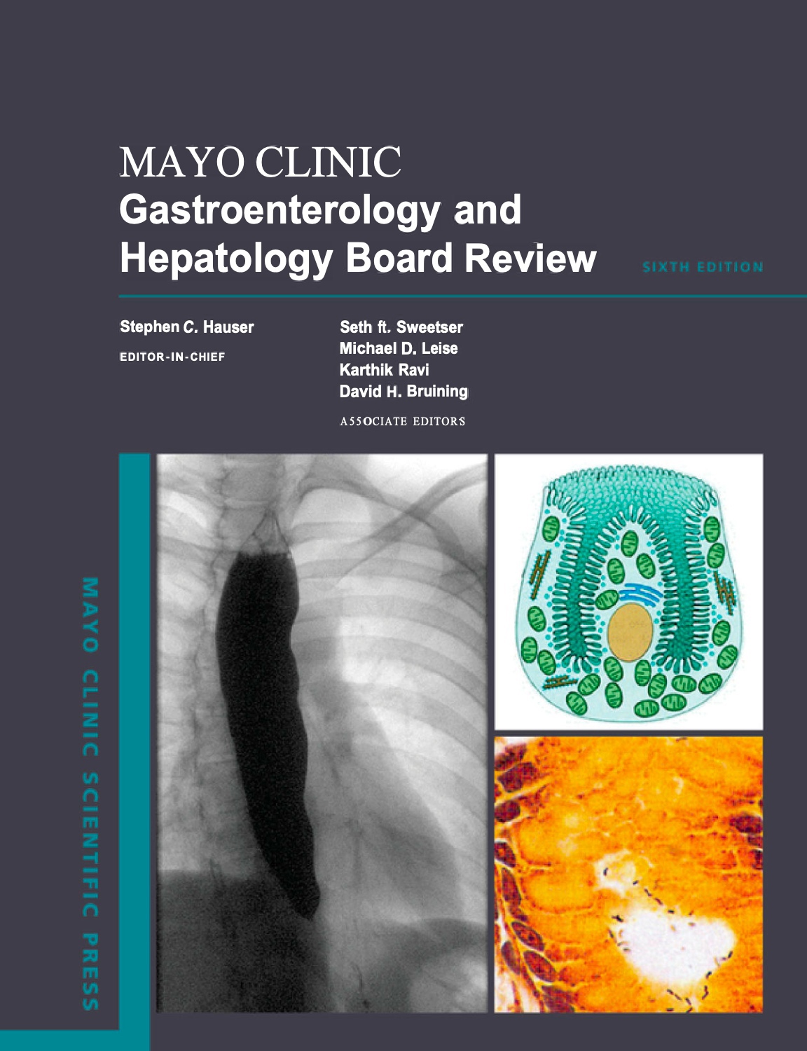 Mayo Clinic Gastroenterology and Hepatology Board Review (Hauser) 6th edition (2024)